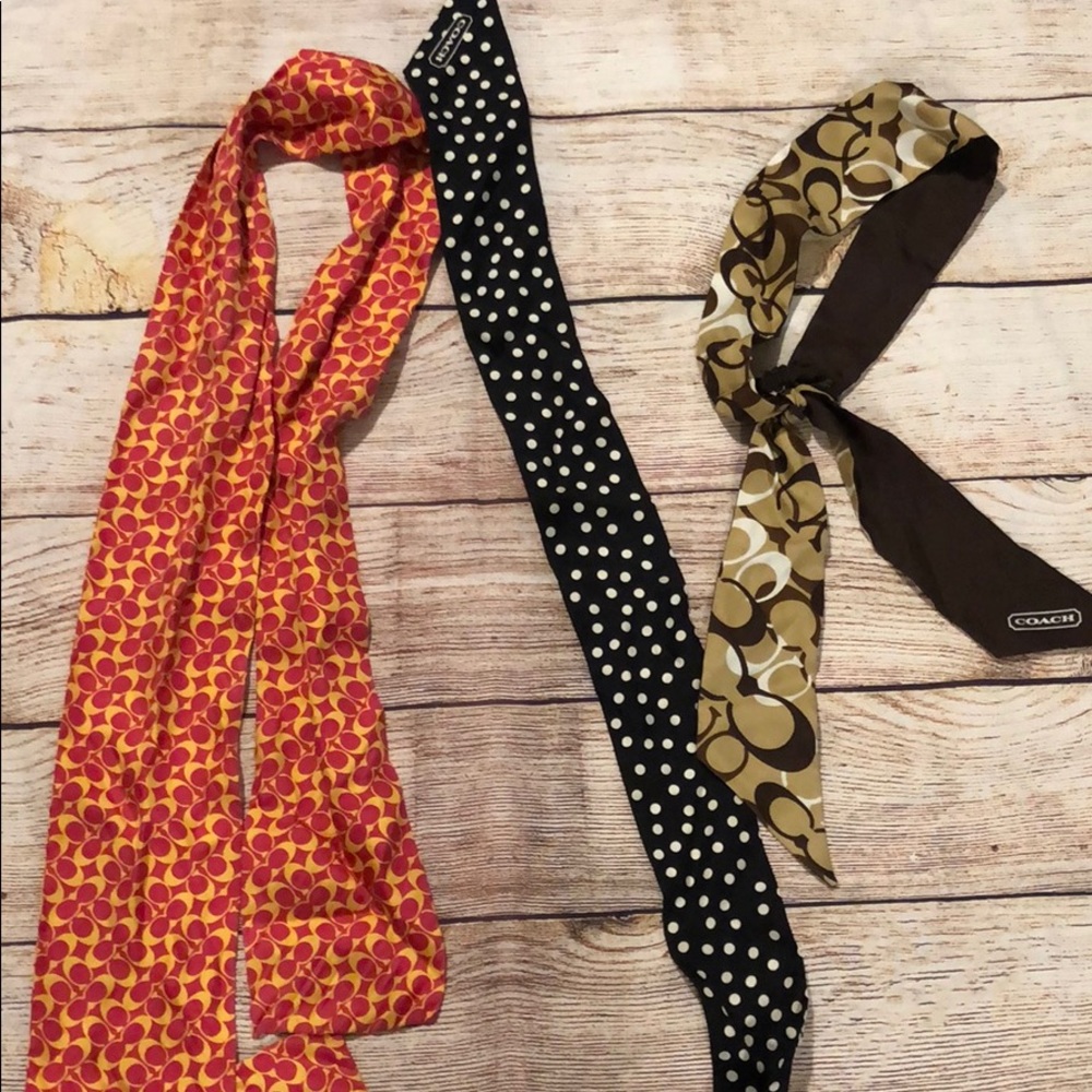 Coach pony scarves and headbands